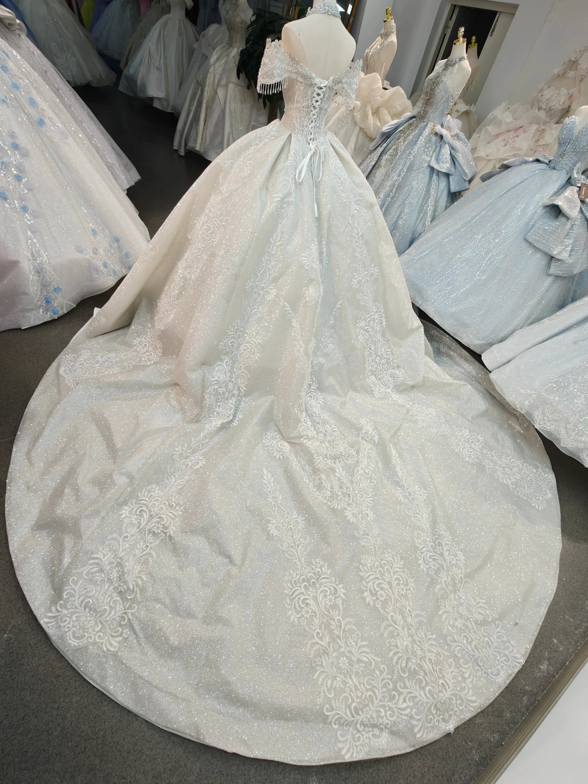 Champagne Glimmer Off-Shoulder Ballgown Crystal Fringe Bust & Embroidered Train - Image 5