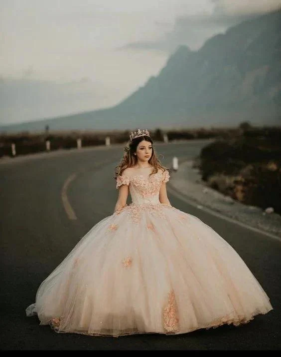 Chic Off The Shoulder Tulle Appliques Ball Gown Princess Dress Sweet 16 Dress Y399 - Image 2