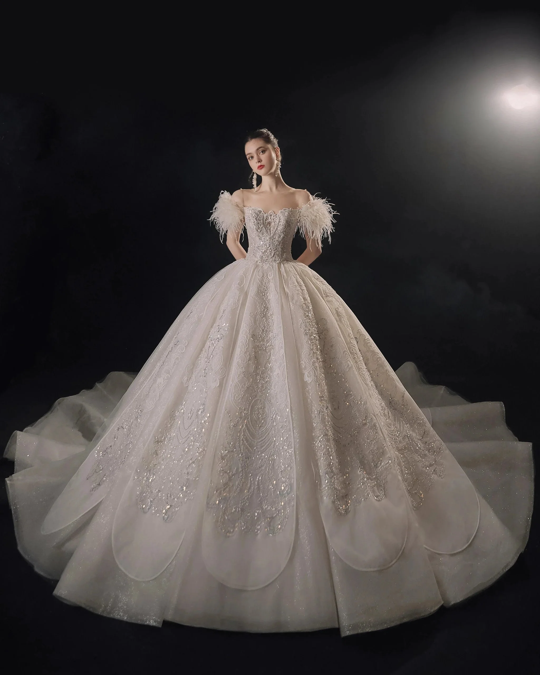Luxurious Off-the-Shoulder Ball Gown Sweetheart Neckline Feather Trim Beaded Lace Wedding Dress with Glitter Train E-306 - Image 2