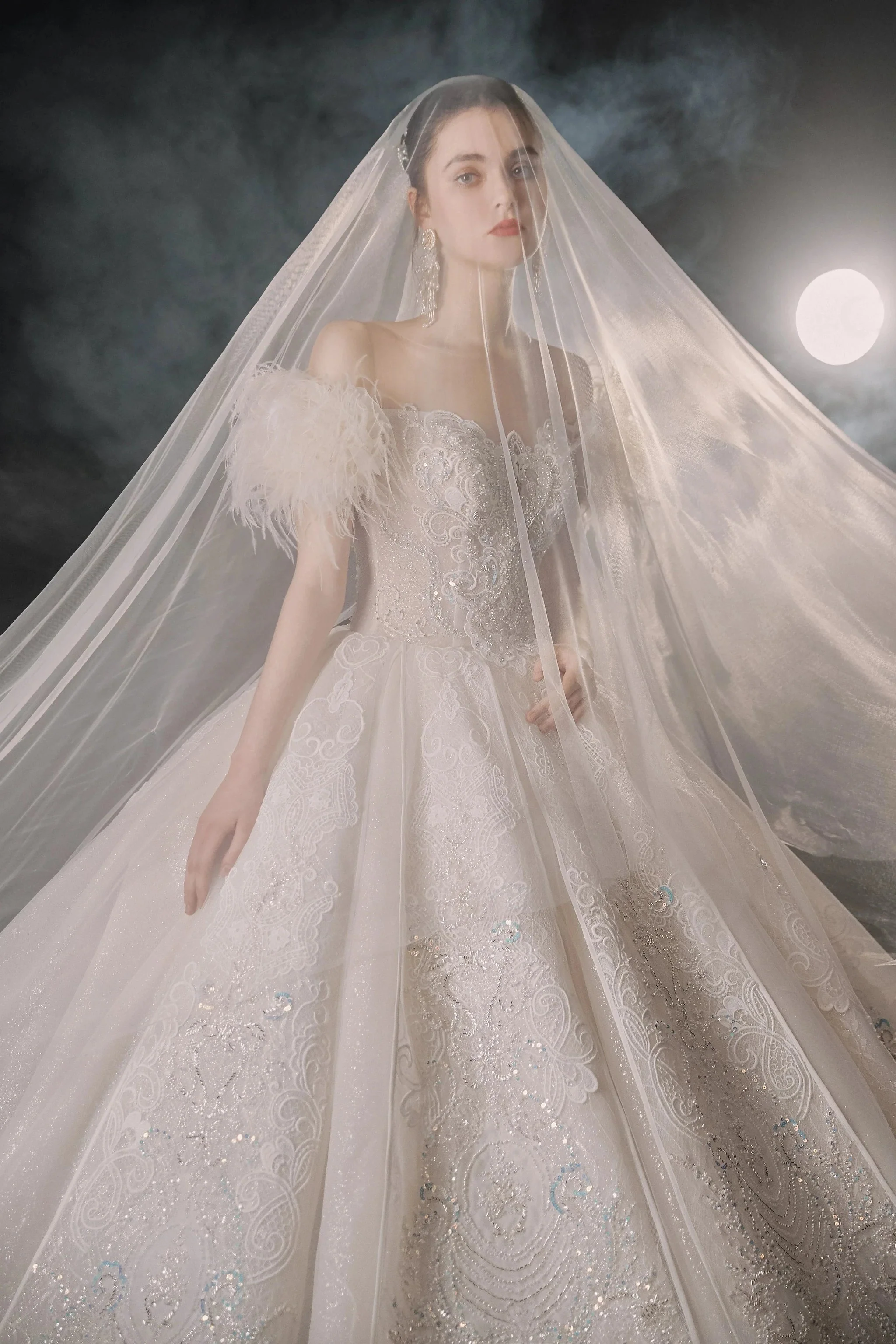 Luxurious Off-the-Shoulder Ball Gown Sweetheart Neckline Feather Trim Beaded Lace Wedding Dress with Glitter Train E-306 - Image 4