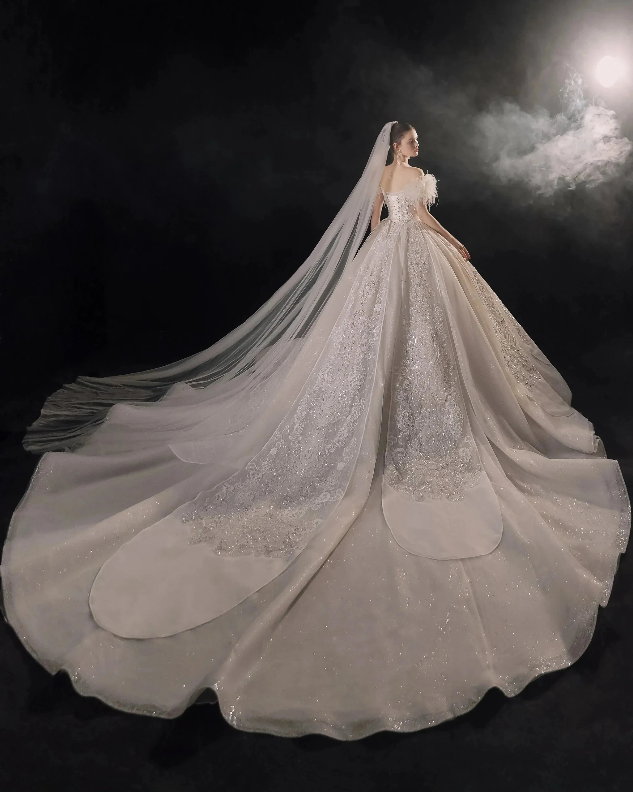 Luxurious Off-the-Shoulder Ball Gown Sweetheart Neckline Feather Trim Beaded Lace Wedding Dress with Glitter Train E-306 - Image 9