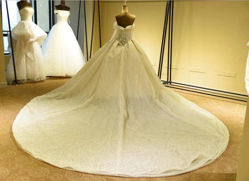 Elegant Long Sleeve Sweetheart Lace-up Ivory Tulle Ball Gown Wedding Dress - Image 4