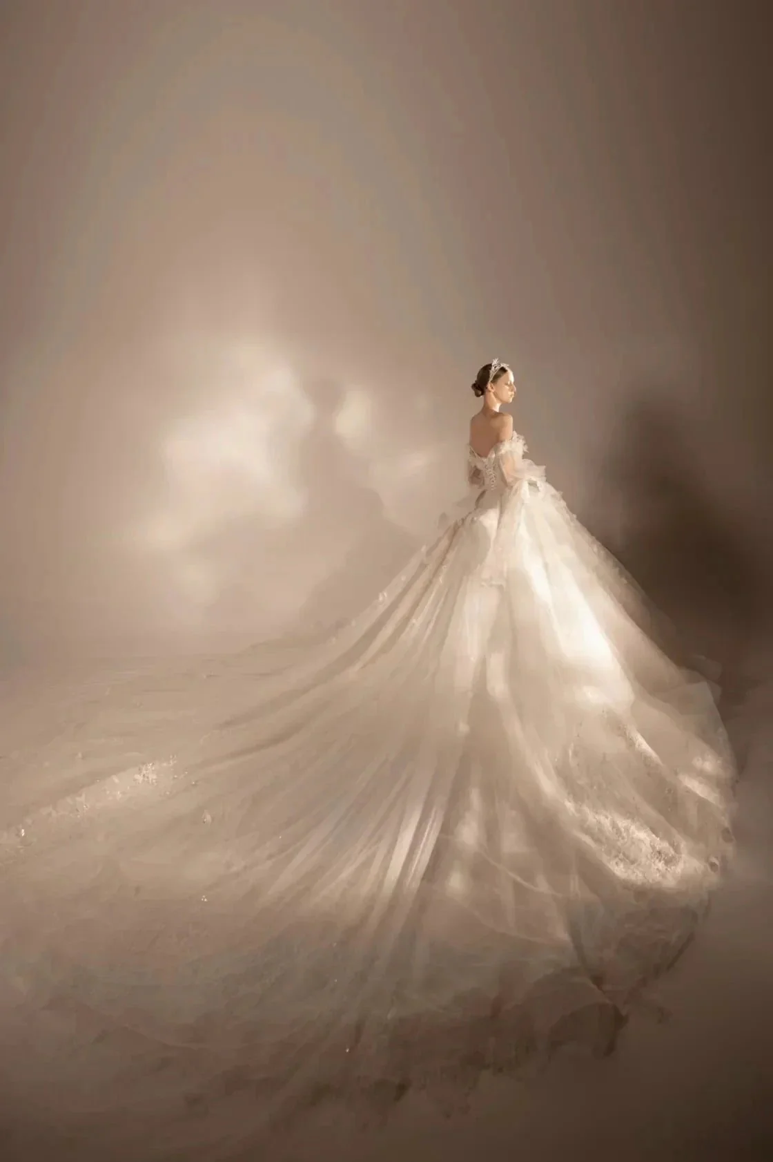 Gorgeous Long Ball Gown Off-the-Shoulder Tulle Wedding Dress with 3D Floral & Crystal Embroidery & Cathedral Train H009 - Image 5