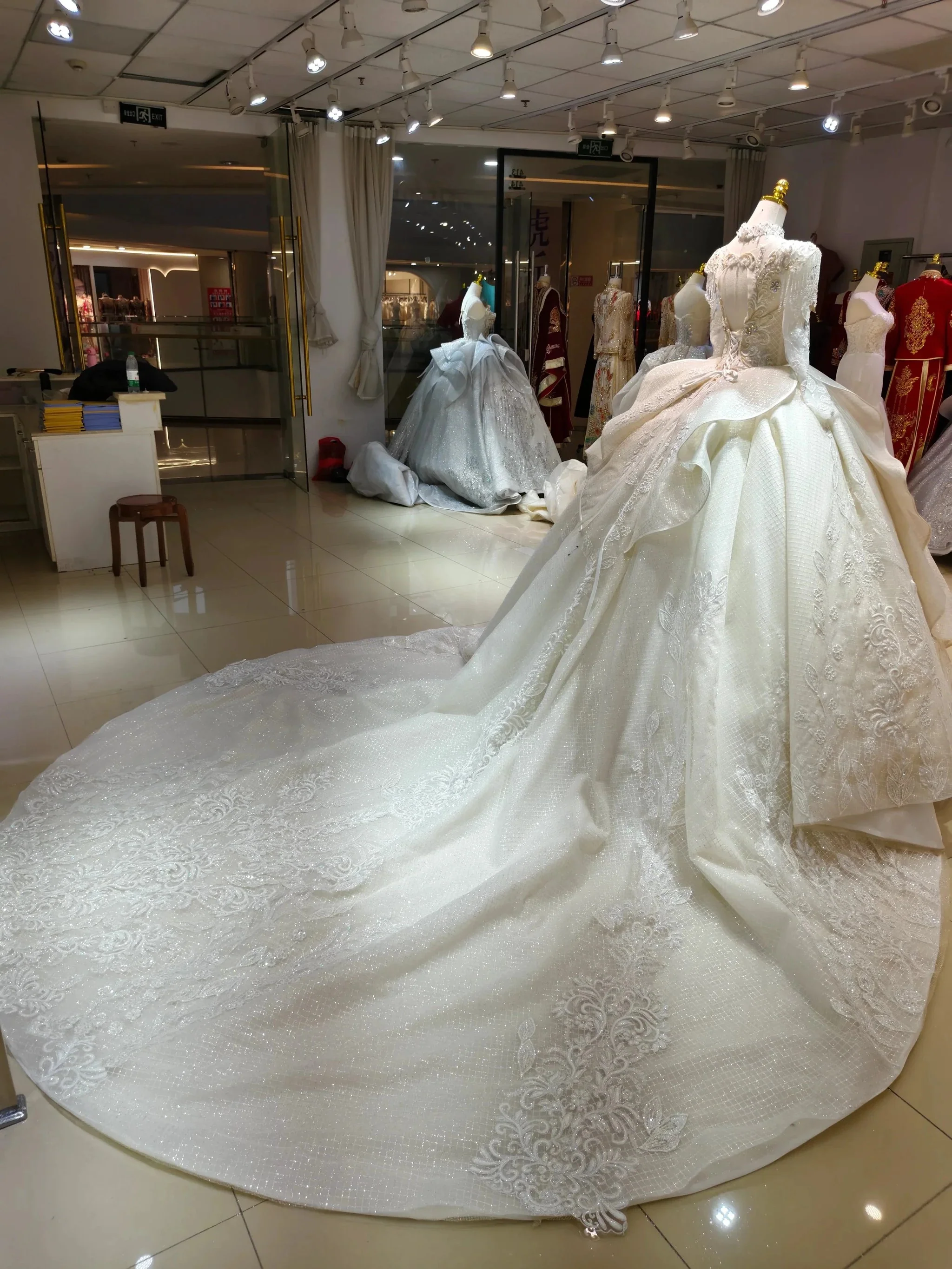 Ivory Gilded Butterfly Ballgown Crystal-Embroidered Bust & Fringed Collar - Image 3