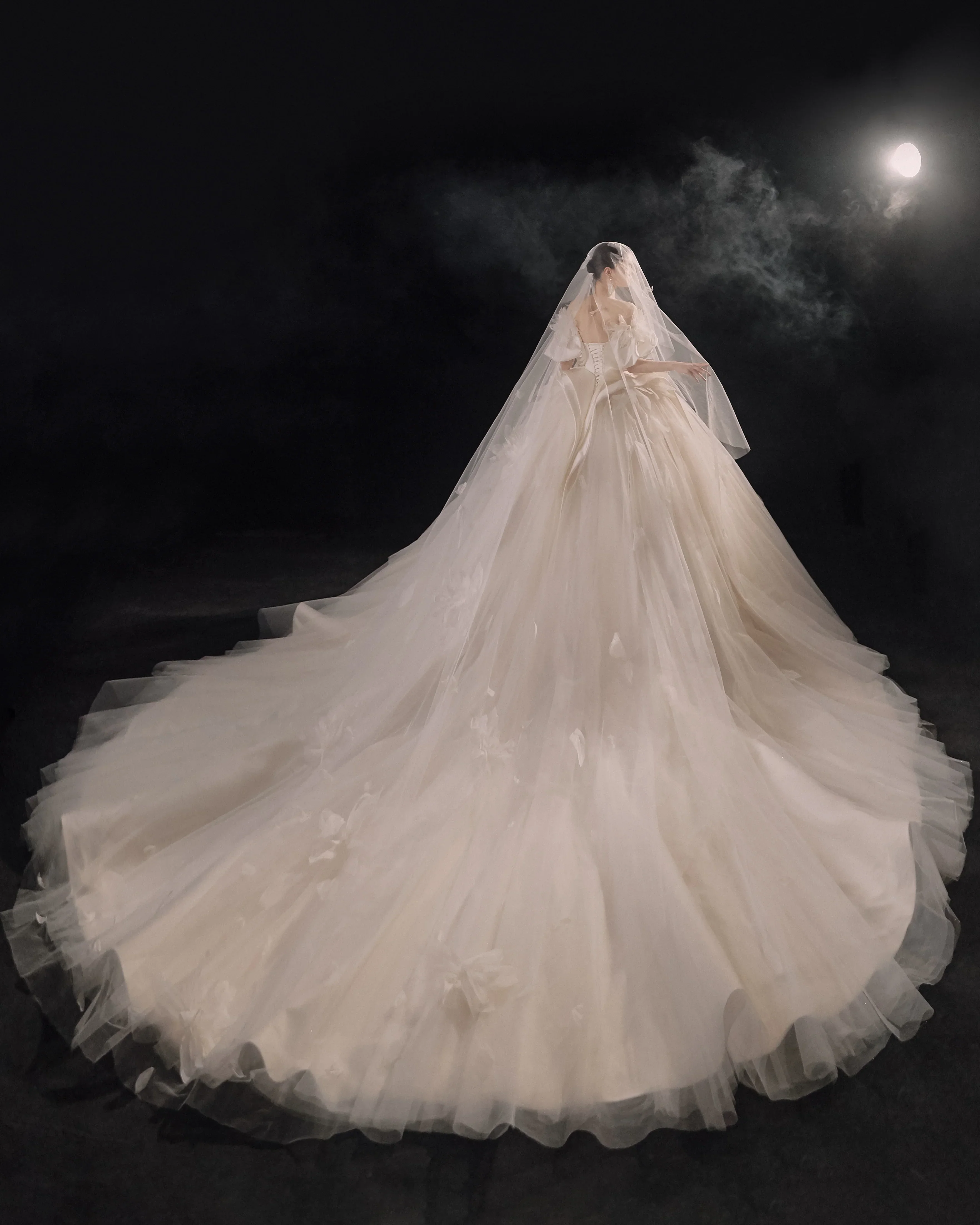 Lavish Sweetheart Ball Gown Satin Puff Sleeve Feather Trim Beaded Wedding Dress with Flowing Train E-302 - Image 9