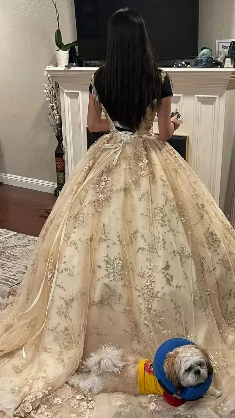 Luxurious Champagne V Neck Quinceanera Dress Princess Dress Champagne Ball Gown Y593 - Image 2