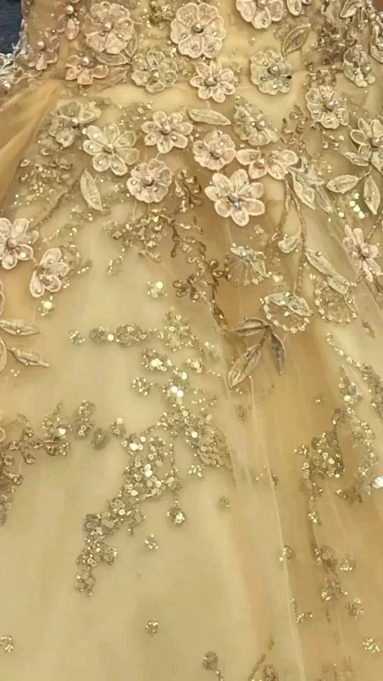 Luxurious Champagne V Neck Quinceanera Dress Princess Dress Champagne Ball Gown Y593 - Image 3