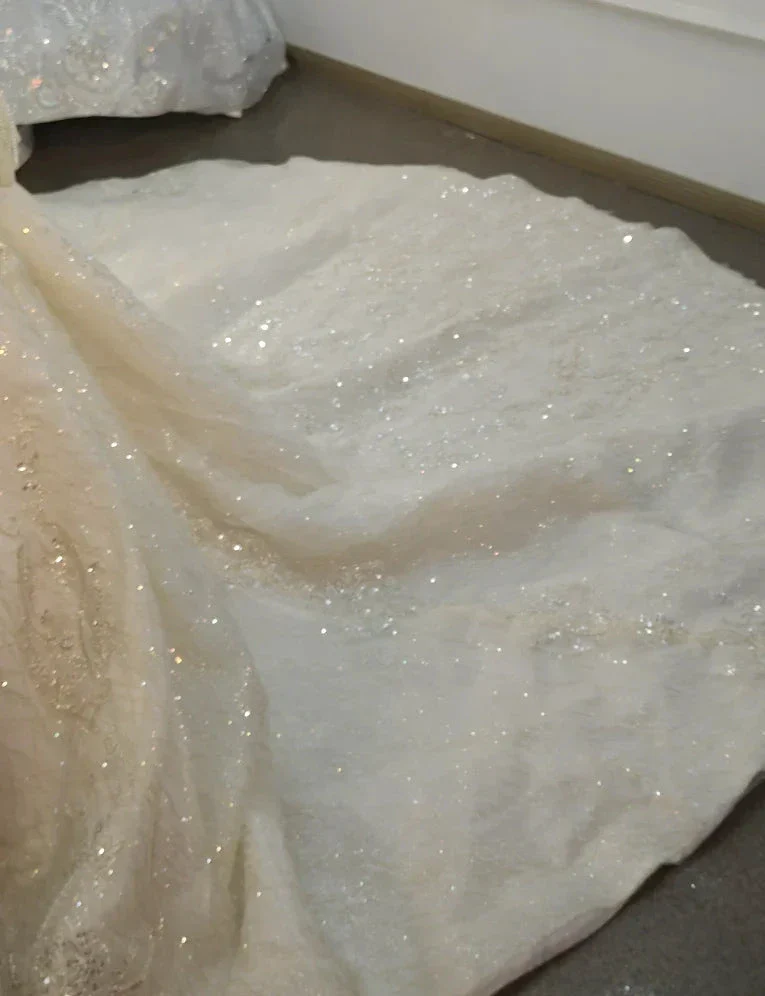 Lavish Halter-Neck Ball Gown Wedding Dress with Pearl Crystal Embroidery & Ruffled Tulle Skirt Ye-2034 - Image 7