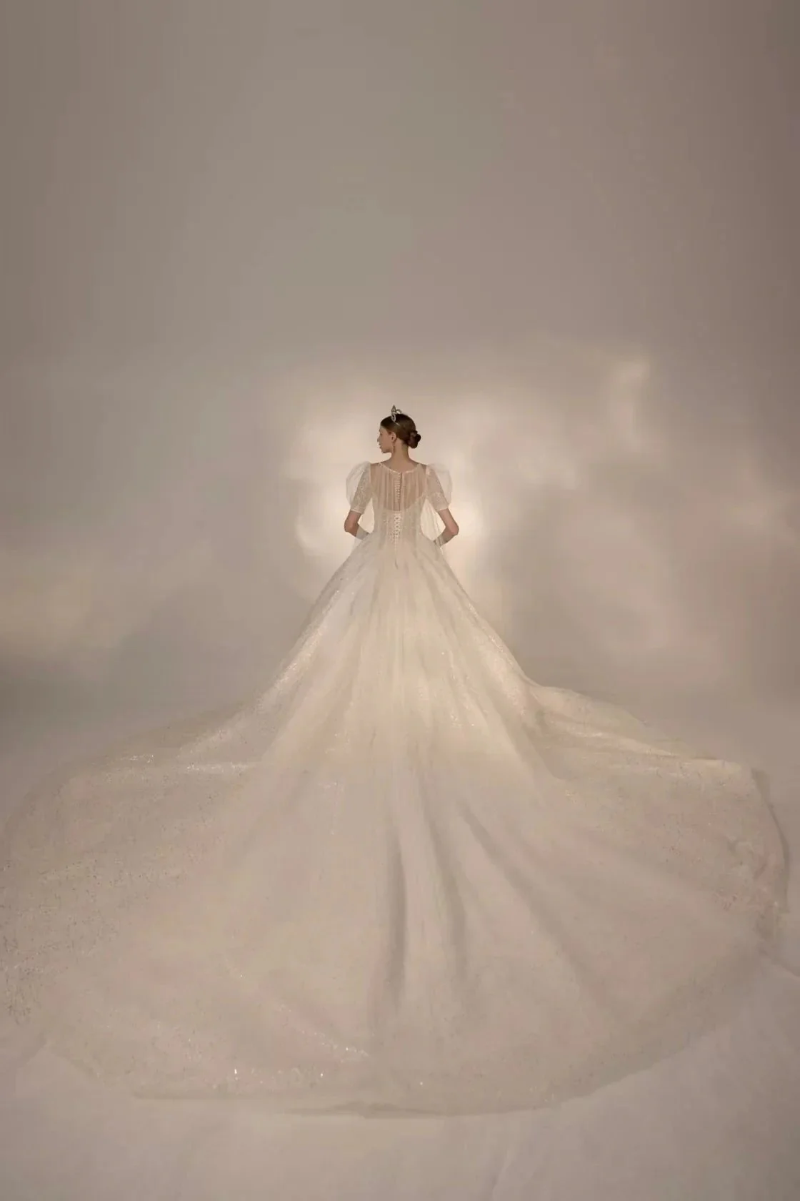 Sparkling Ball Gown Sweetheart Neck Tulle Wedding Dress with Beaded Embroidery & Sheer Puff Sleeves Q6021 - Image 5