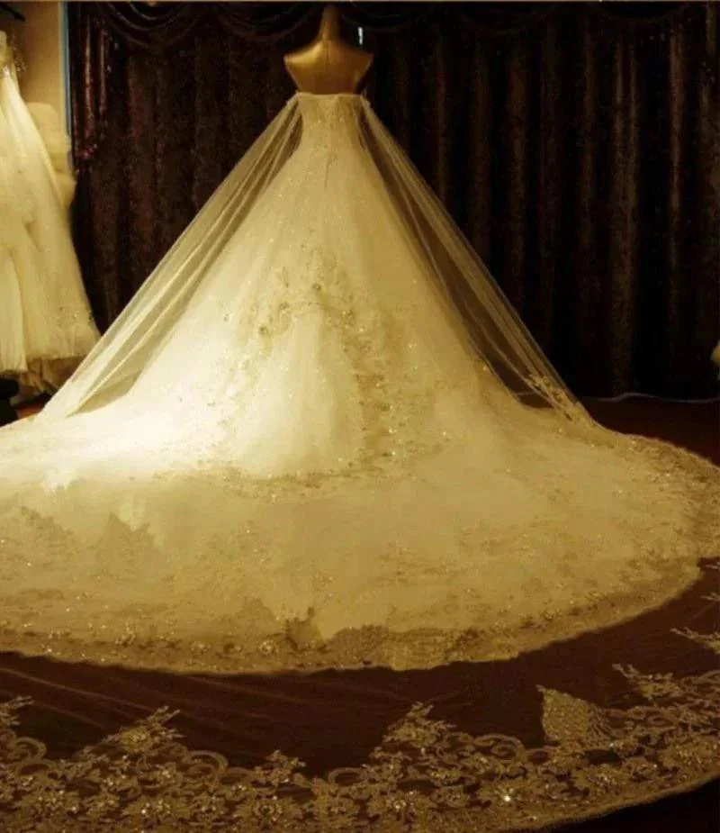 Sweetheart Ball Gown Watteau Train Wedding Dress with Appliques Beading WD022 - Image 3